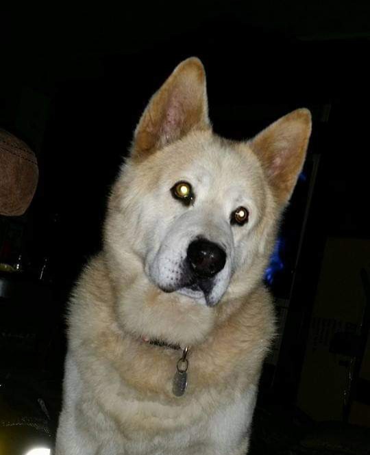 Welcome to our website Blog 2