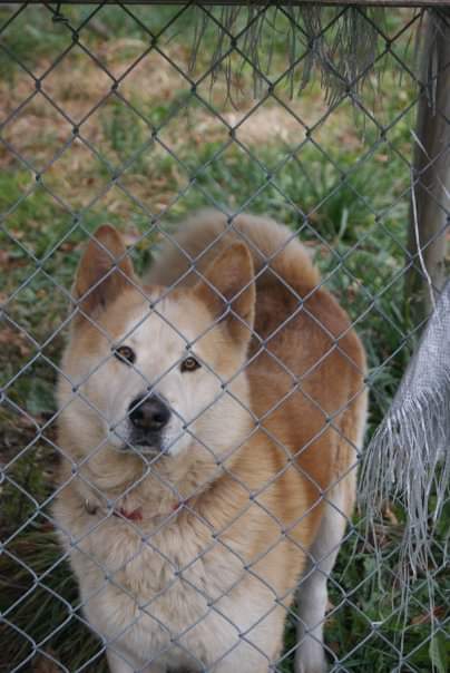 Welcome to Blog number 4