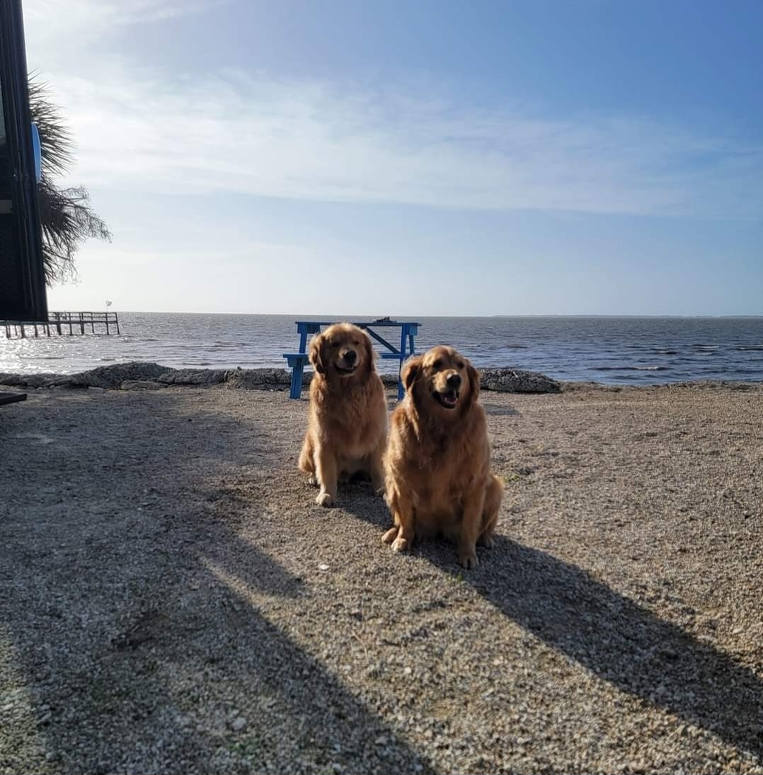 Welcome to Blog number 3